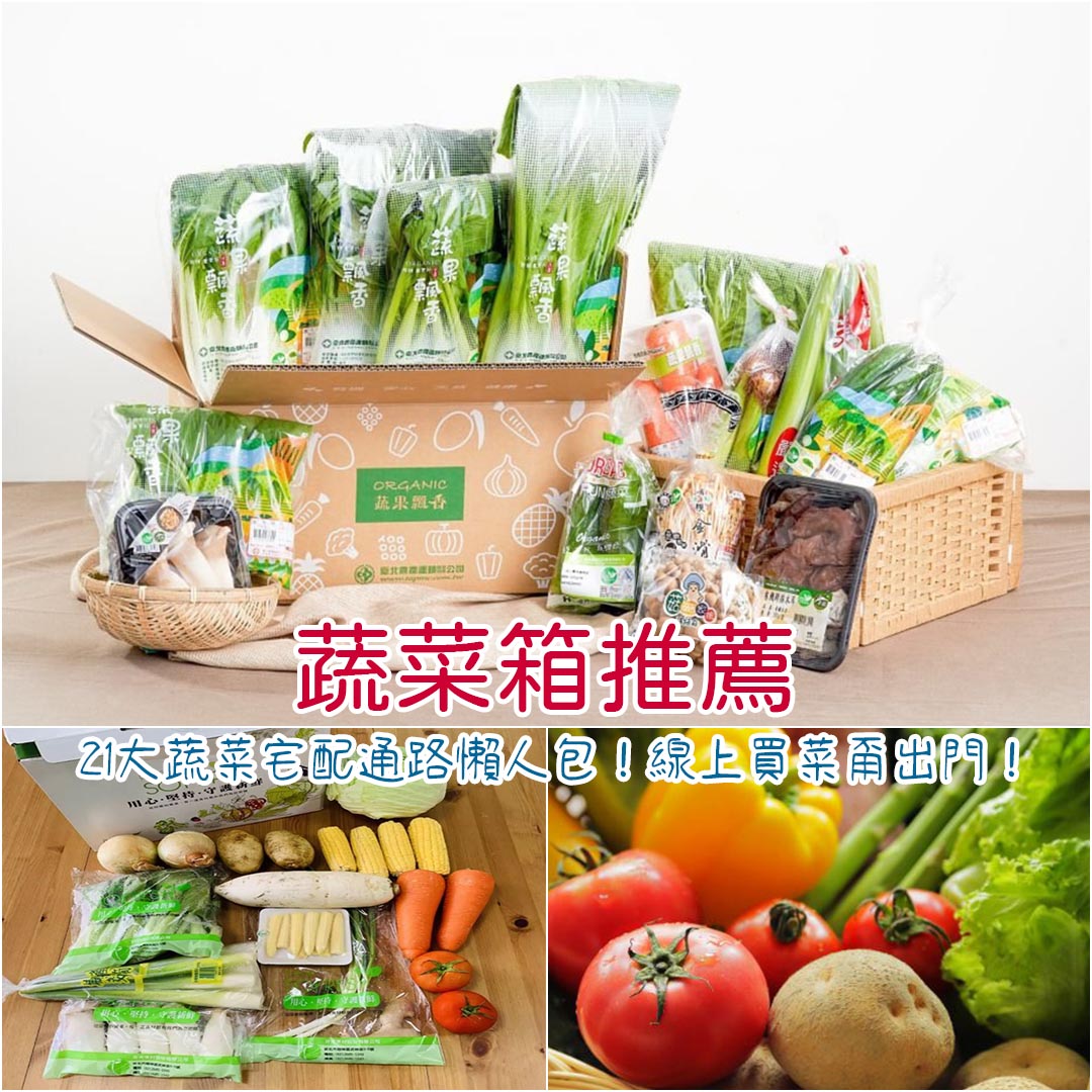 蔬菜箱推薦