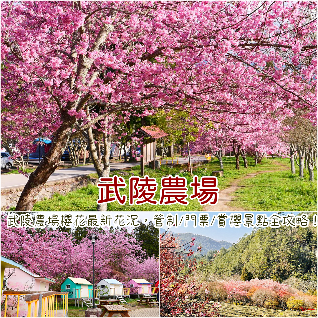 武陵農場
